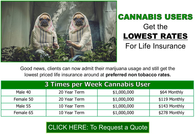 Cannabis Users.1021.R54